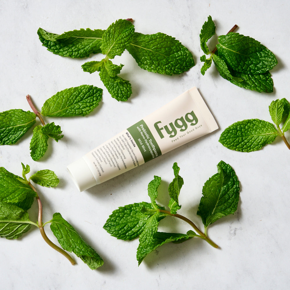 
                  
                    Travel Size Toothpaste | Mild Mint
                  
                